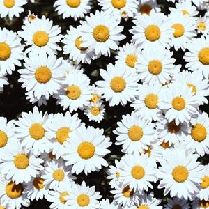 闷骚艳岳的婬乱生活视频
